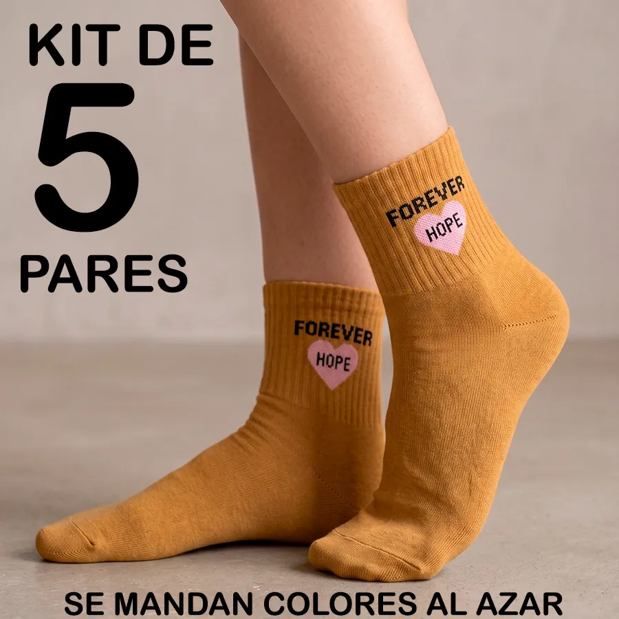 BE6014 EDICION 11876